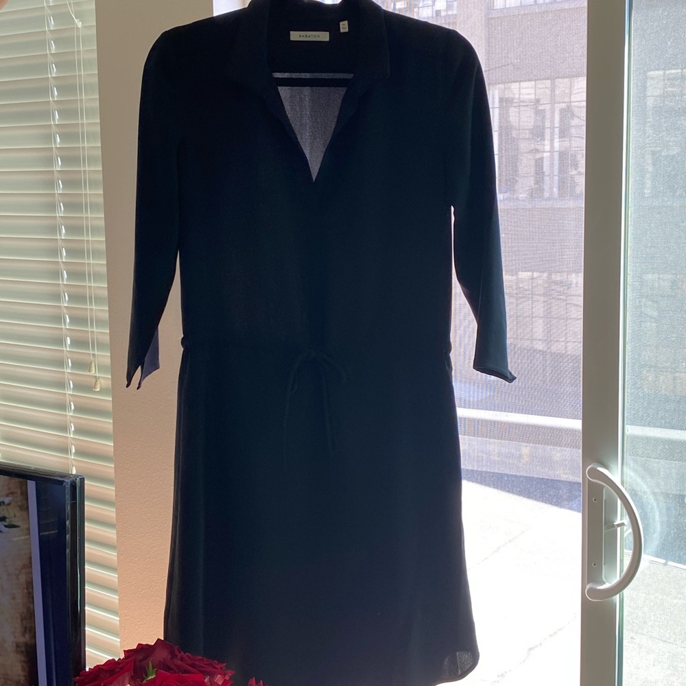Aritzia Babaton Dress